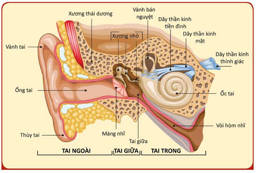 Ảnh hưởng của tiếng ồn đến sức khỏe 